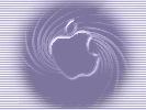 apple03_1024x768.jpg